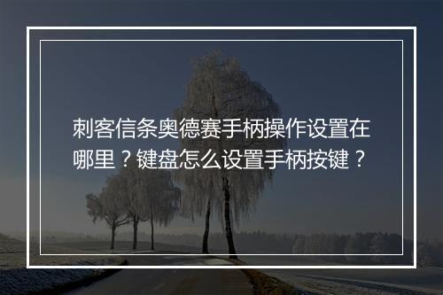 刺客信条奥德赛手柄操作设置在哪里？键盘怎么设置手柄按键？