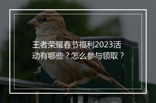 王者荣耀春节福利2023活动有哪些？怎么参与领取？