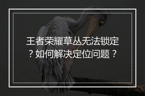王者荣耀草丛无法锁定？如何解决定位问题？
