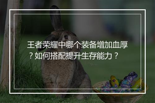 王者荣耀中哪个装备增加血厚？如何搭配提升生存能力？