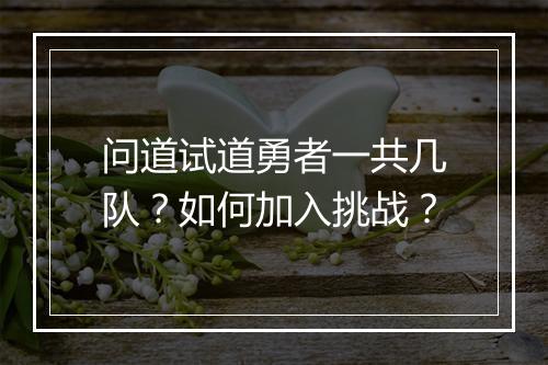 问道试道勇者一共几队？如何加入挑战？