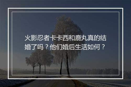 火影忍者卡卡西和鹿丸真的结婚了吗？他们婚后生活如何？