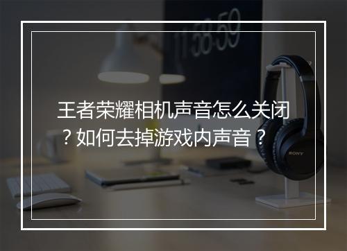 王者荣耀相机声音怎么关闭？如何去掉游戏内声音？