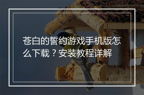 苍白的誓约游戏手机版怎么下载？安装教程详解