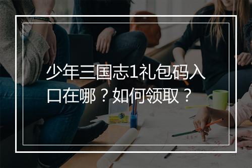 少年三国志1礼包码入口在哪？如何领取？