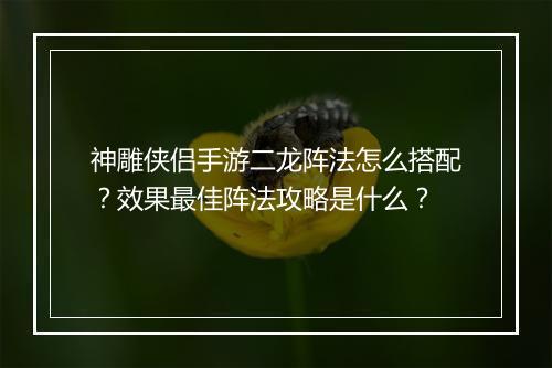 神雕侠侣手游二龙阵法怎么搭配？效果最佳阵法攻略是什么？