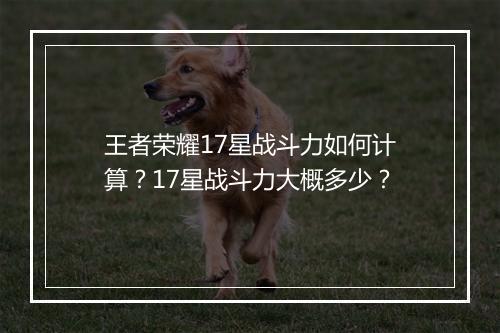 王者荣耀17星战斗力如何计算？17星战斗力大概多少？