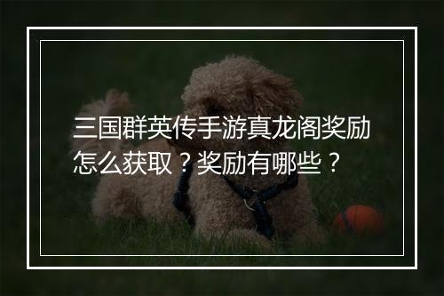 三国群英传手游真龙阁奖励怎么获取？奖励有哪些？