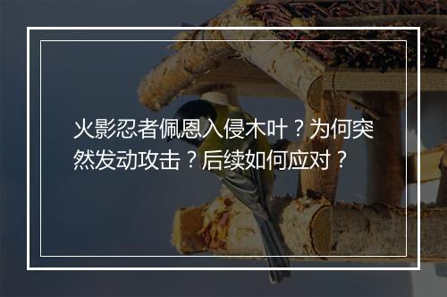 火影忍者佩恩入侵木叶？为何突然发动攻击？后续如何应对？