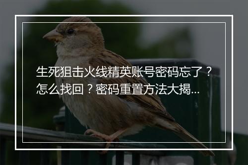生死狙击火线精英账号密码忘了？怎么找回？密码重置方法大揭秘