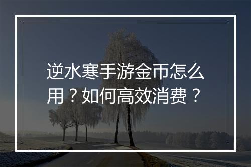 逆水寒手游金币怎么用？如何高效消费？