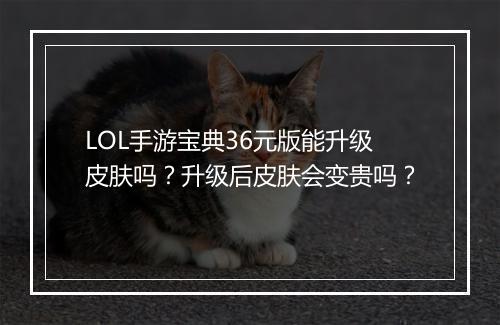 LOL手游宝典36元版能升级皮肤吗？升级后皮肤会变贵吗？