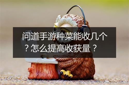 问道手游种菜能收几个？怎么提高收获量？