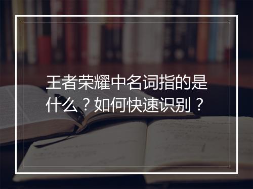 王者荣耀中名词指的是什么？如何快速识别？