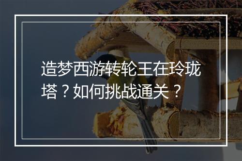 造梦西游转轮王在玲珑塔？如何挑战通关？