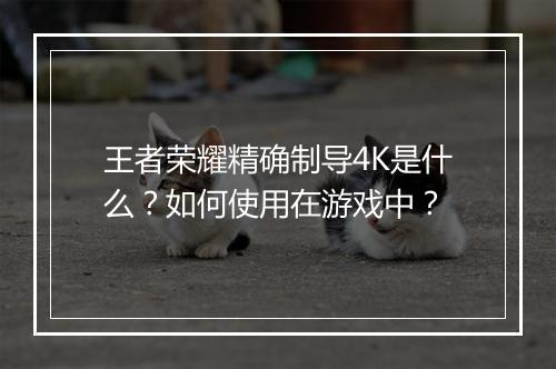 王者荣耀精确制导4K是什么？如何使用在游戏中？