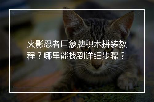 火影忍者巨象牌积木拼装教程？哪里能找到详细步骤？