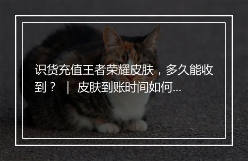 识货充值王者荣耀皮肤，多久能收到？ ｜ 皮肤到账时间如何查询？