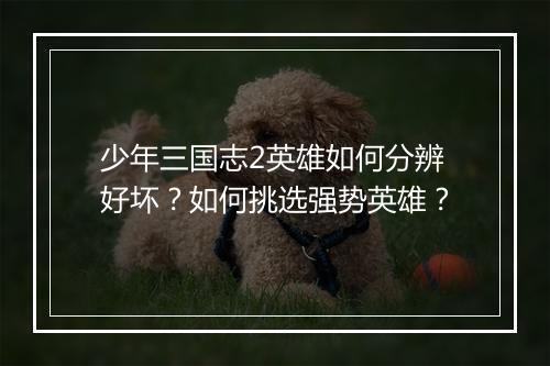 少年三国志2英雄如何分辨好坏？如何挑选强势英雄？