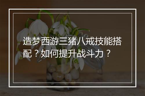 造梦西游三猪八戒技能搭配？如何提升战斗力？