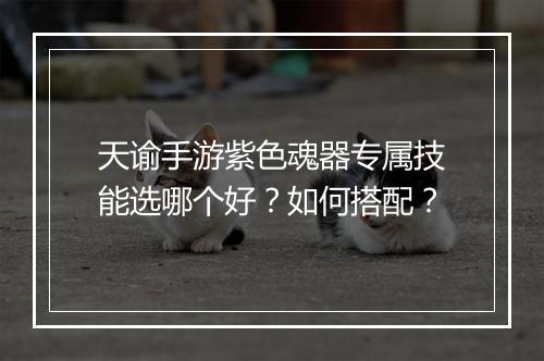 天谕手游紫色魂器专属技能选哪个好？如何搭配？