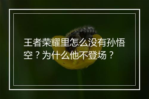 王者荣耀里怎么没有孙悟空？为什么他不登场？
