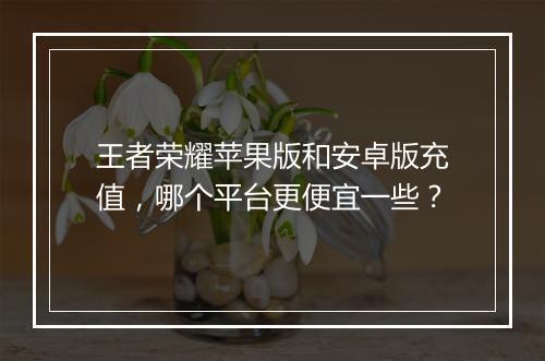王者荣耀苹果版和安卓版充值，哪个平台更便宜一些？