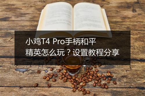 小鸡T4 Pro手柄和平精英怎么玩？设置教程分享