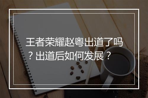 王者荣耀赵粤出道了吗？出道后如何发展？