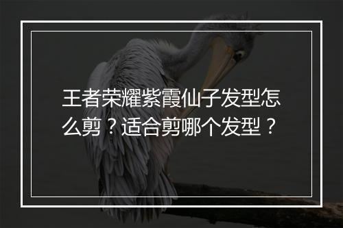 王者荣耀紫霞仙子发型怎么剪？适合剪哪个发型？