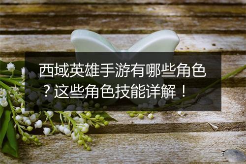 西域英雄手游有哪些角色？这些角色技能详解！