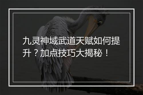 九灵神域武道天赋如何提升？加点技巧大揭秘！