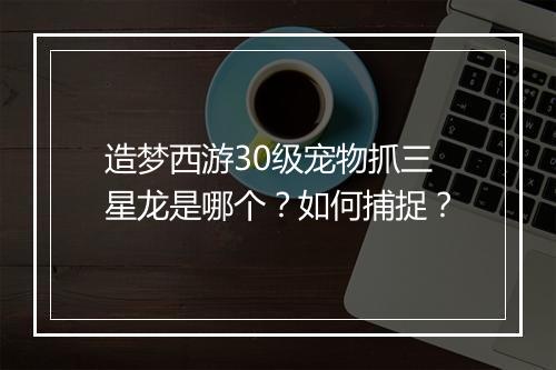 造梦西游30级宠物抓三星龙是哪个？如何捕捉？