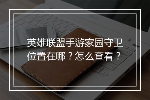 英雄联盟手游家园守卫位置在哪？怎么查看？