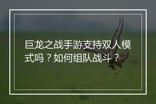 巨龙之战手游支持双人模式吗？如何组队战斗？
