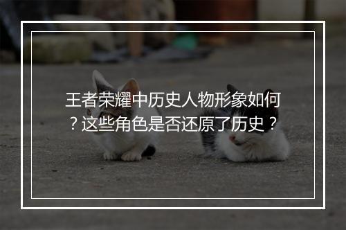 王者荣耀中历史人物形象如何？这些角色是否还原了历史？