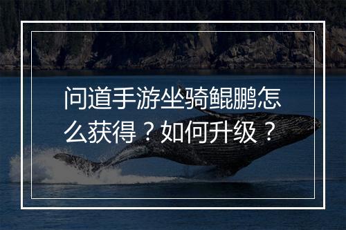 问道手游坐骑鲲鹏怎么获得？如何升级？