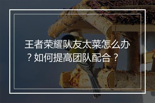 王者荣耀队友太菜怎么办？如何提高团队配合？