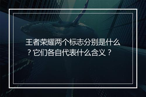 王者荣耀两个标志分别是什么？它们各自代表什么含义？