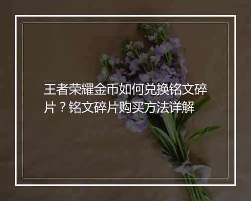 王者荣耀金币如何兑换铭文碎片？铭文碎片购买方法详解