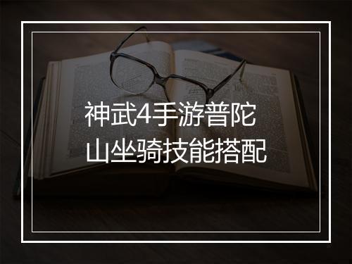 神武4手游普陀山坐骑技能搭配