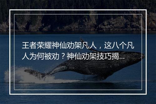 王者荣耀神仙劝架凡人，这八个凡人为何被劝？神仙劝架技巧揭秘！