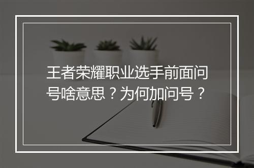王者荣耀职业选手前面问号啥意思？为何加问号？