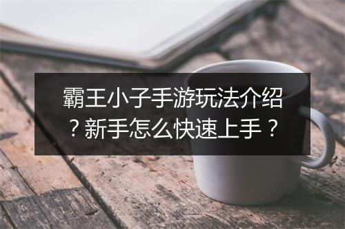 霸王小子手游玩法介绍？新手怎么快速上手？