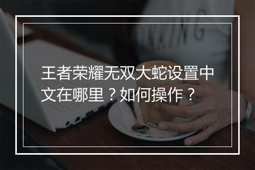 王者荣耀无双大蛇设置中文在哪里?如何操作?