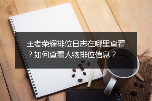 王者荣耀排位日志在哪里查看?如何查看人物排位信息?