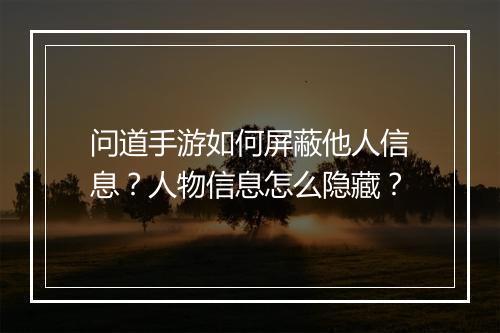 问道手游如何屏蔽他人信息？人物信息怎么隐藏？
