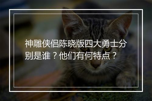 神雕侠侣陈晓版四大勇士分别是谁？他们有何特点？