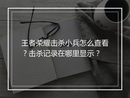 王者荣耀击杀小兵怎么查看？击杀记录在哪里显示？