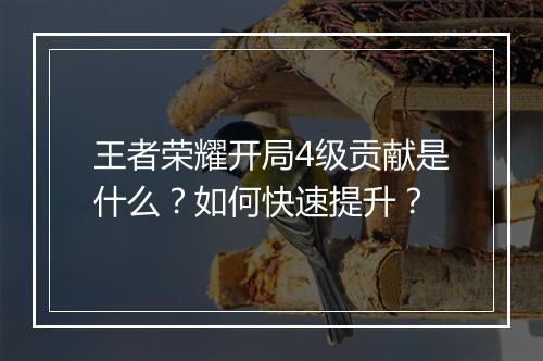 王者荣耀开局4级贡献是什么？如何快速提升？
